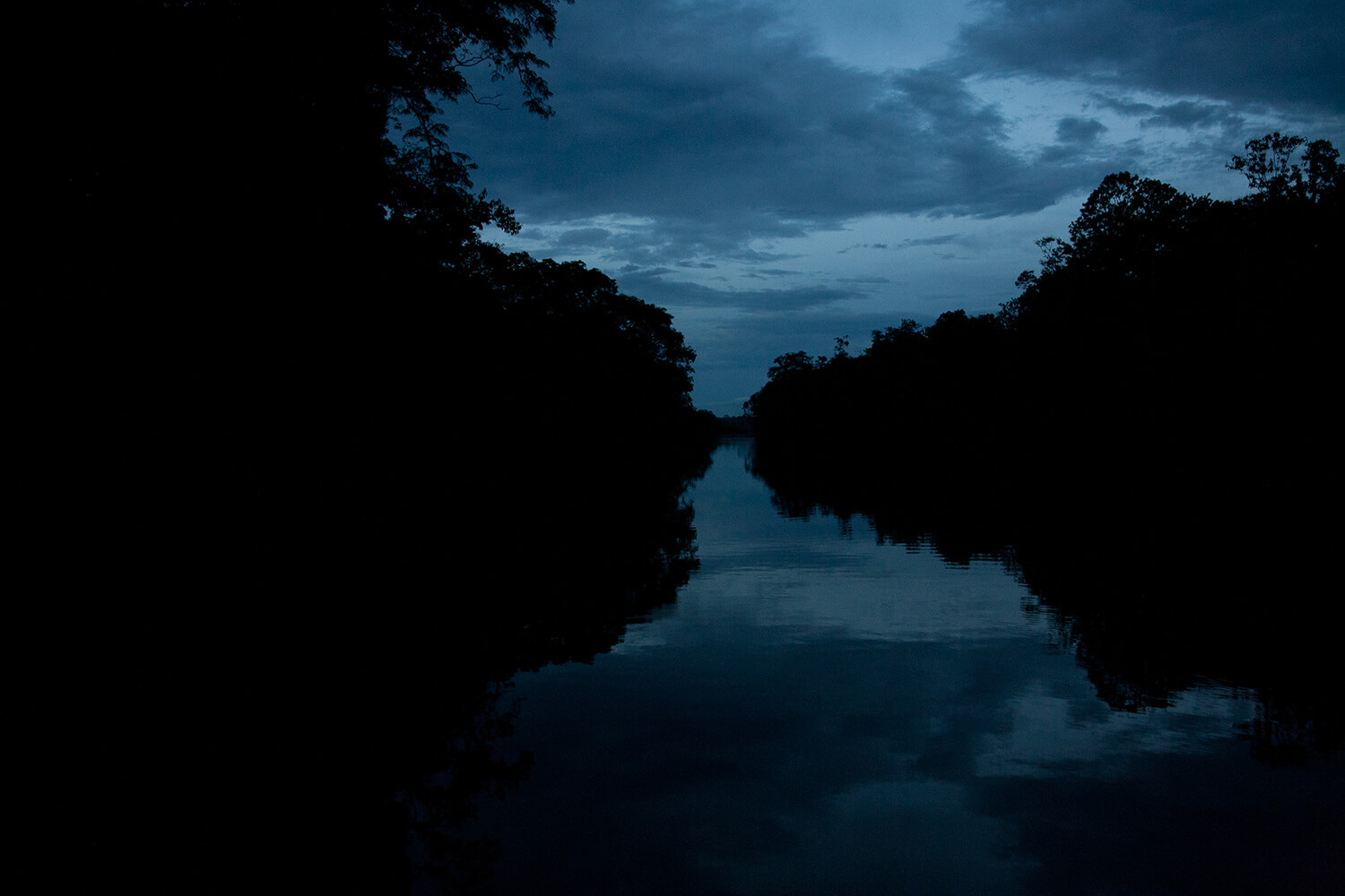 AMAZONAS 3 rio galeria_MG_0430.jpg
